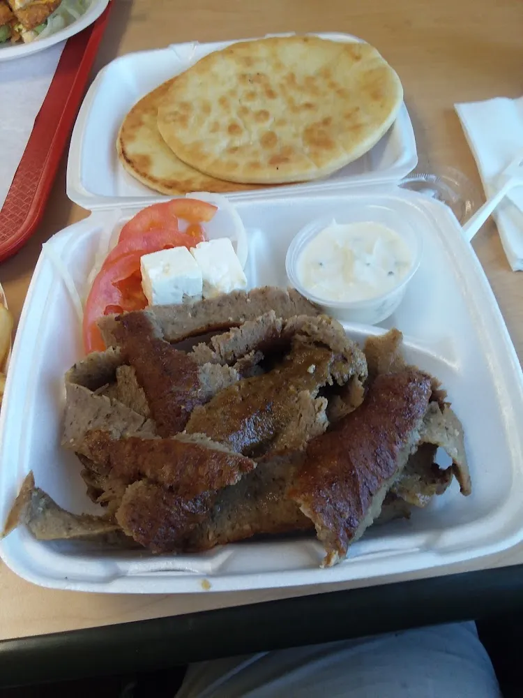 Gyro Plate